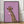 Tablou înramat „Giraffe pink bubblegum” de Sarah Manovski