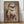 Tablou înramat „STUDENT SLOTH” de Adam Lawless
