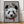 Tablou înramat „cat on panda bear” de Adam Lawless