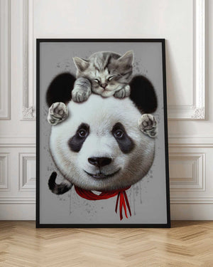 Tablou înramat „cat on panda bear” de Adam Lawless