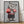 Tablou înramat „boxing cat” de Adam Lawless