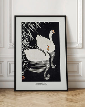 Tablou înramat „White Chinese Geese Swimming by Reeds” de Ohara Koson