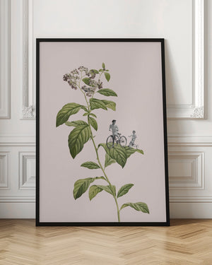 Tablou înramat „Botanical cycling” de Frida Floral Studio