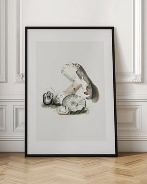 Tablou înramat „Vintage Agaricus Augustus Mushroom 50x70” de Biodiversity Heritage Library