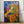 Tablou înramat „Vivid Petal Whispers” de Dorothy Fagan