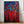 Tablou înramat „Botanic Radiance” de Dorothy Fagan