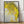 Tablou înramat „Reclaiming ii of ii” de Deb Chaney