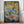 Tablou înramat „Vivid Nature Dance” de Dorothy Fagan