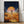 Tablou înramat „Cosmic Flower Fields” de Taudalpoi