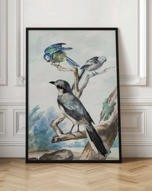 Tablou înramat „Three Birds” de Aert Schouman
