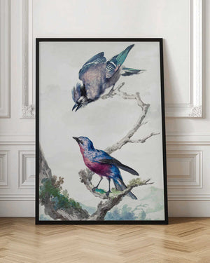 Tablou înramat „Two Birds  a Blue Jay and a Purple Breasted Cotinga” de Aert Schouman