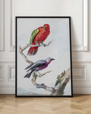 Tablou înramat „Two Birds, Including a Red Green Parrot” de Aert Schouman