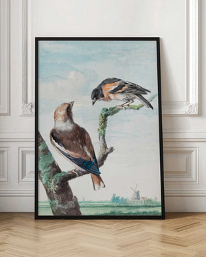 Tablou înramat „Two Birds  Hawfinch” de Aert Schouman