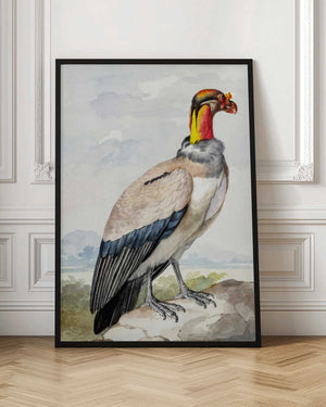 Tablou înramat „Stone Curlew” de Aert Schouman