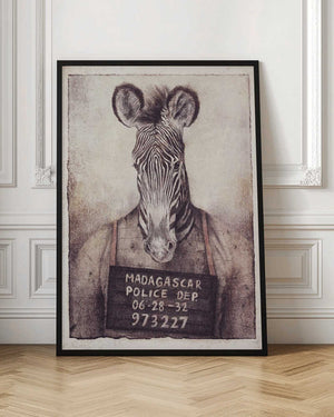 Tablou înramat „Zebra Mugshot Mystery” de Mike Koubou