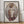 Tablou înramat „Tattooed Boxer Pup” de Mike Koubou