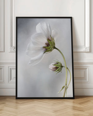 Tablou înramat „Heavenly Cosmos” de Mandy Disher
