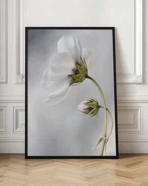 Tablou înramat „Heavenly Cosmos” de Mandy Disher