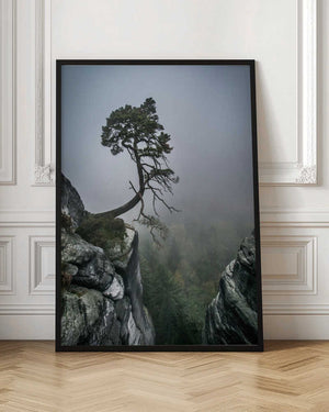 Tablou înramat „Against the Odds” de Andreas Wonisch