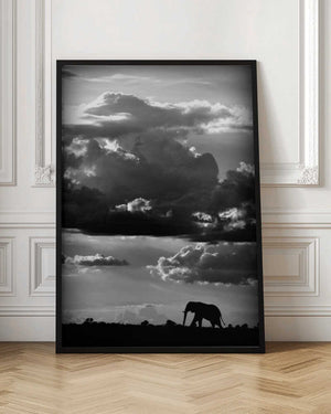 Tablou înramat „He walks under an African Sky” de WildPhotoArt