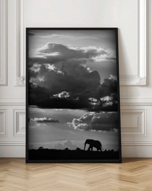 Tablou înramat „He walks under an African Sky” de WildPhotoArt