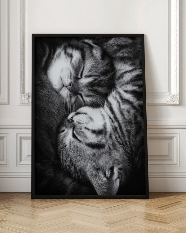 Tablou înramat „Yin and Yang” de Andrea Jancova