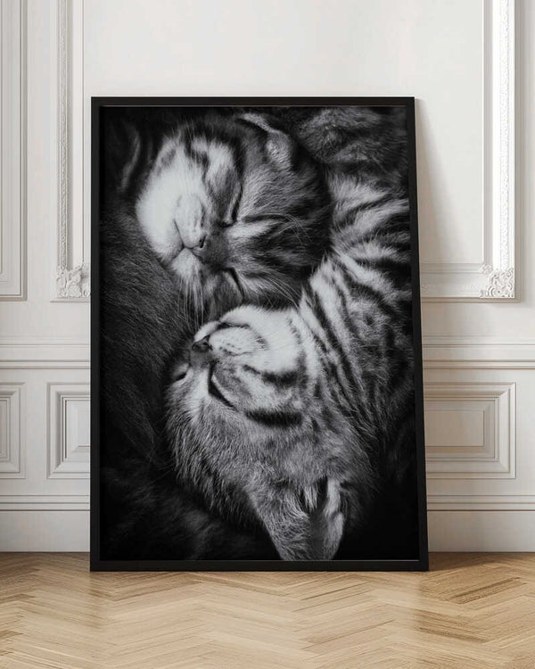 Tablou înramat „Yin and Yang” de Andrea Jancova