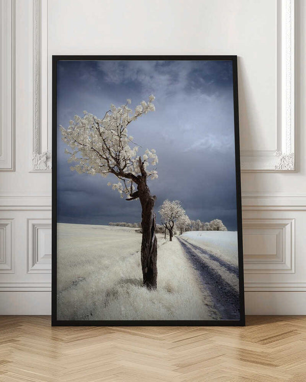 Tablou înramat „IRenka” de Piotr Krol (Bax)