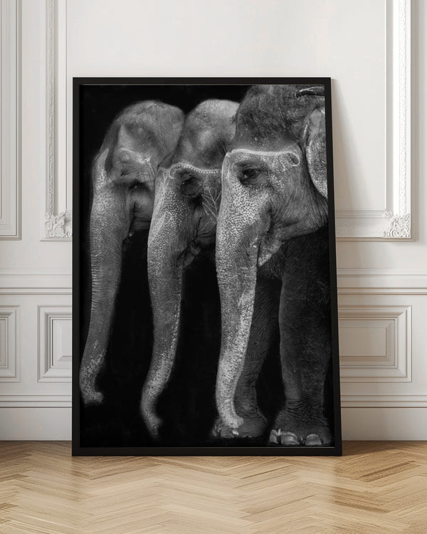 Tablou înramat „Nature\'s great masterpiece, an elephant; the only harmless great thing ...” de Yvette Depaepe