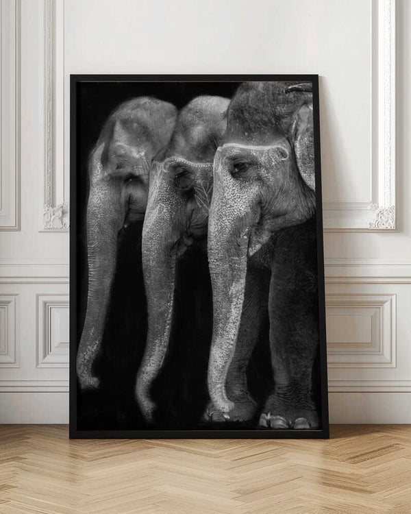 Tablou înramat „Nature\'s great masterpiece, an elephant; the only harmless great thing ...” de Yvette Depaepe