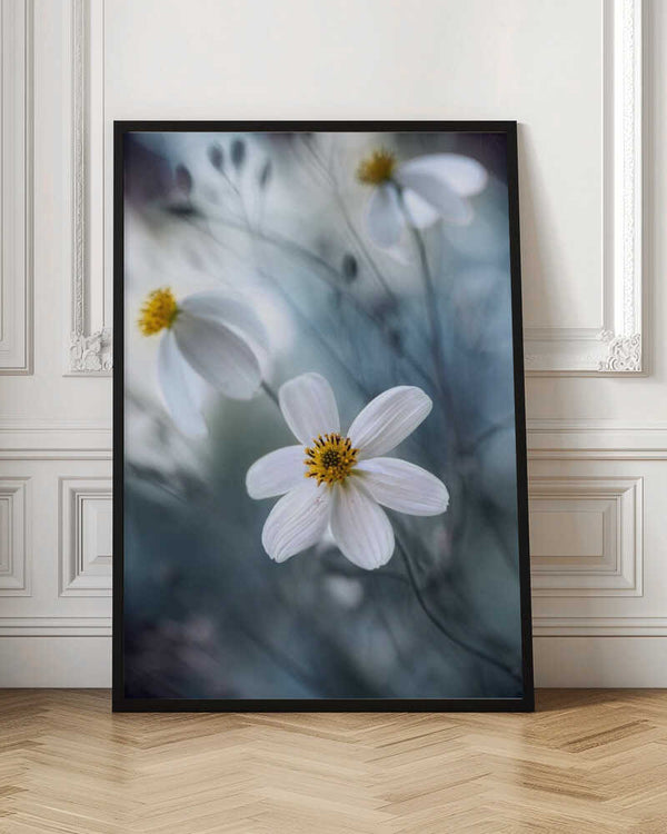 Tablou înramat „Cosmos” de Mandy Disher