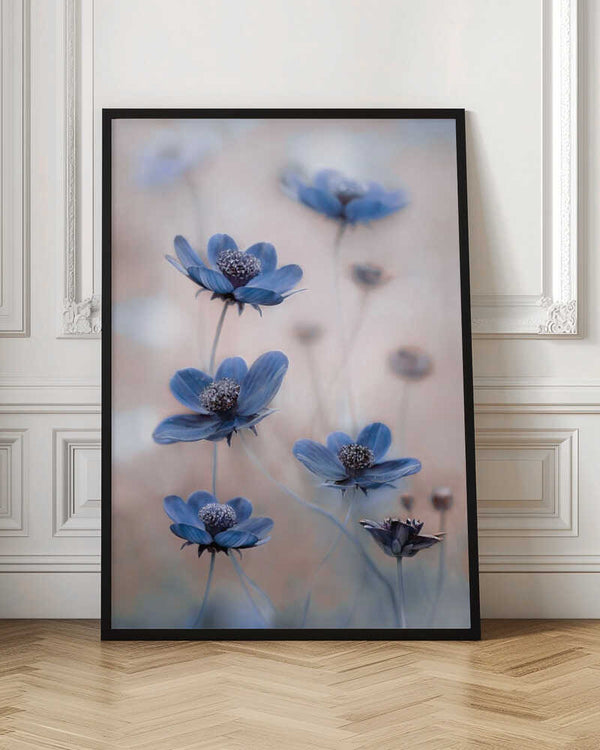Tablou înramat „Cosmos blue” de Mandy Disher