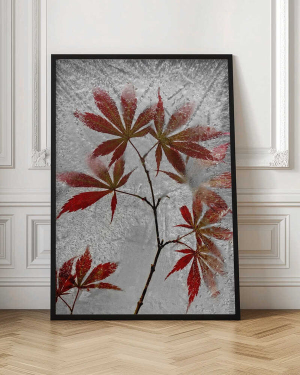 Tablou înramat „red maple” de Secundino Losada