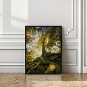 Tablou înramat „The goodbye of a leaf” de Alberto Ghizzi Panizza