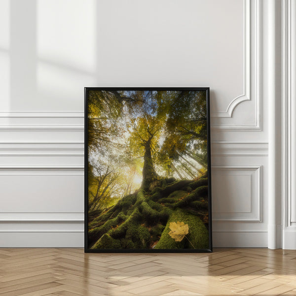 Tablou înramat „The goodbye of a leaf” de Alberto Ghizzi Panizza