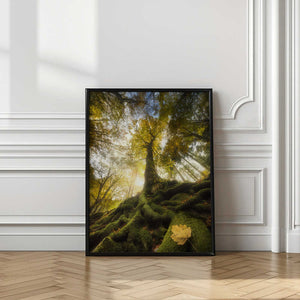 Tablou înramat „The goodbye of a leaf” de Alberto Ghizzi Panizza