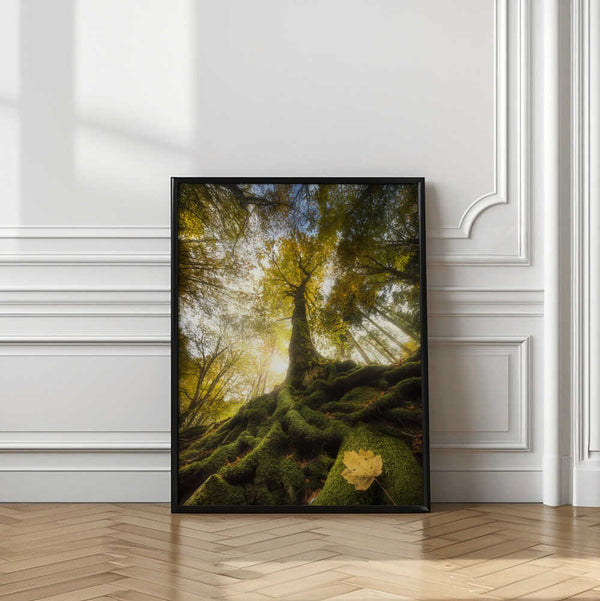 Tablou înramat „The goodbye of a leaf” de Alberto Ghizzi Panizza