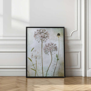 Tablou înramat „Allium” de Mandy Disher