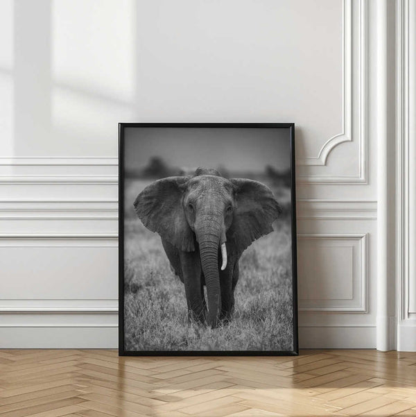 Tablou înramat „SINGULARITY” de Jaco Marx