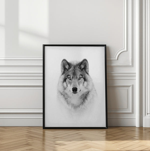 Tablou înramat „Portrait of a Timber Wolf” de Jim Cumming