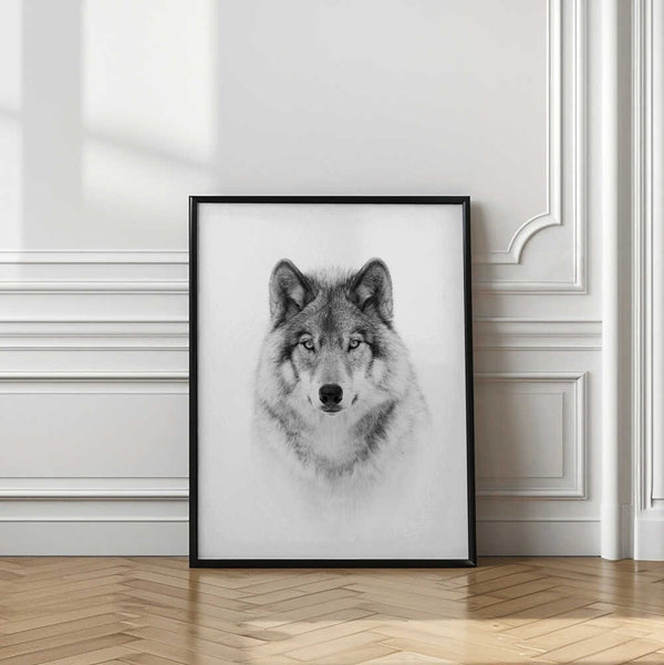 Tablou înramat „Portrait of a Timber Wolf” de Jim Cumming