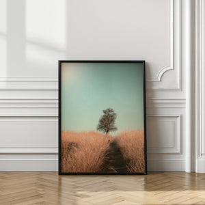 Tablou înramat „Grass and Path” de Jaap van den Helm