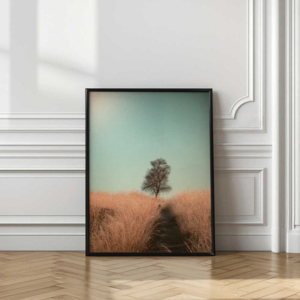 Tablou înramat „Grass and Path” de Jaap van den Helm