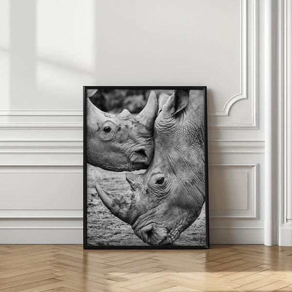 Tablou înramat „Face to face” de Jesus Concepcion Alvarado