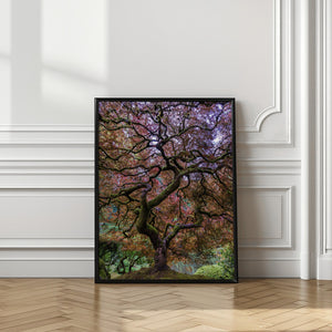 Tablou înramat „Japanese Maple Tree” de Mike Centioli