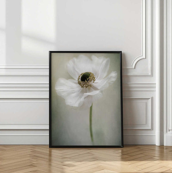 Tablou înramat „Single White” de Jacky Parker