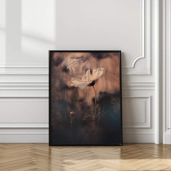 Tablou înramat „The Bride” de Fabien BRAVIN