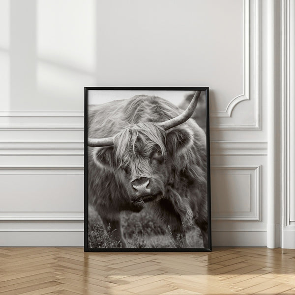 Tablou înramat „The Bull” de Jacky Parker