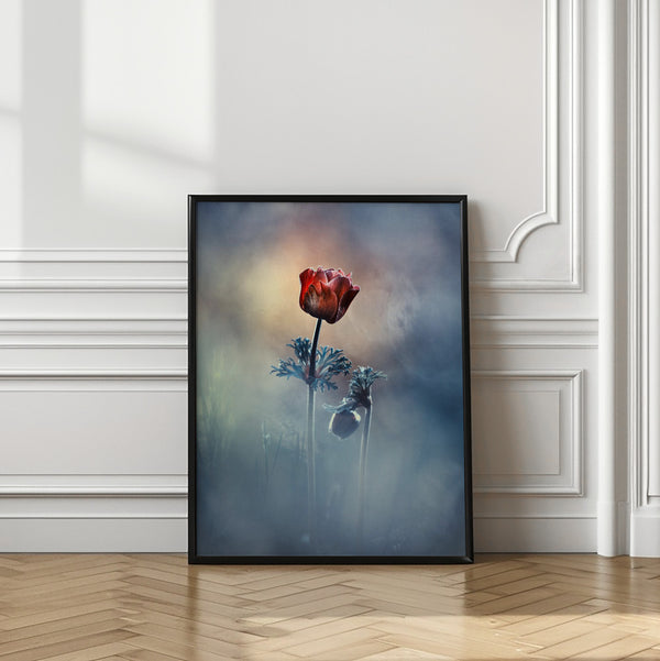 Tablou înramat „Where poetry and memories remain” de Fabien BRAVIN