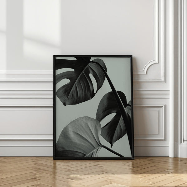 Tablou înramat „Monstera Teal 07” de Pictufy Studio III